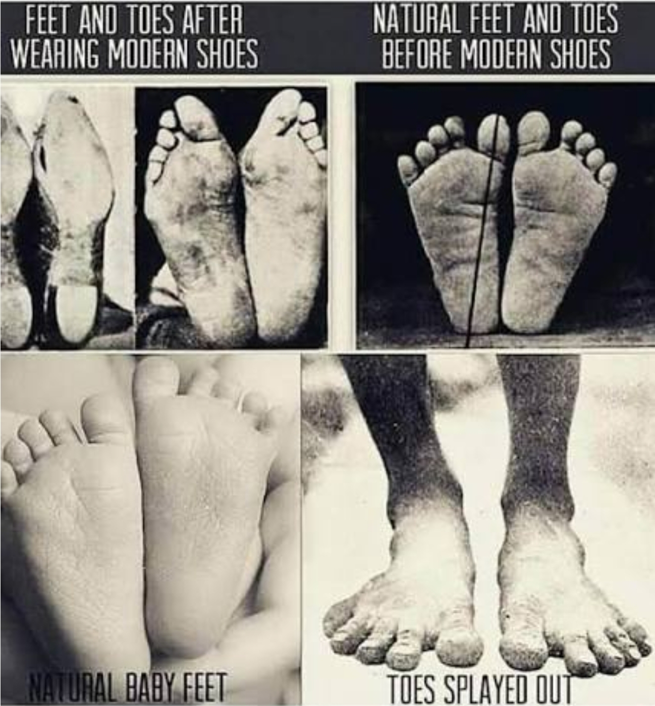 Foot vs shoe shape
